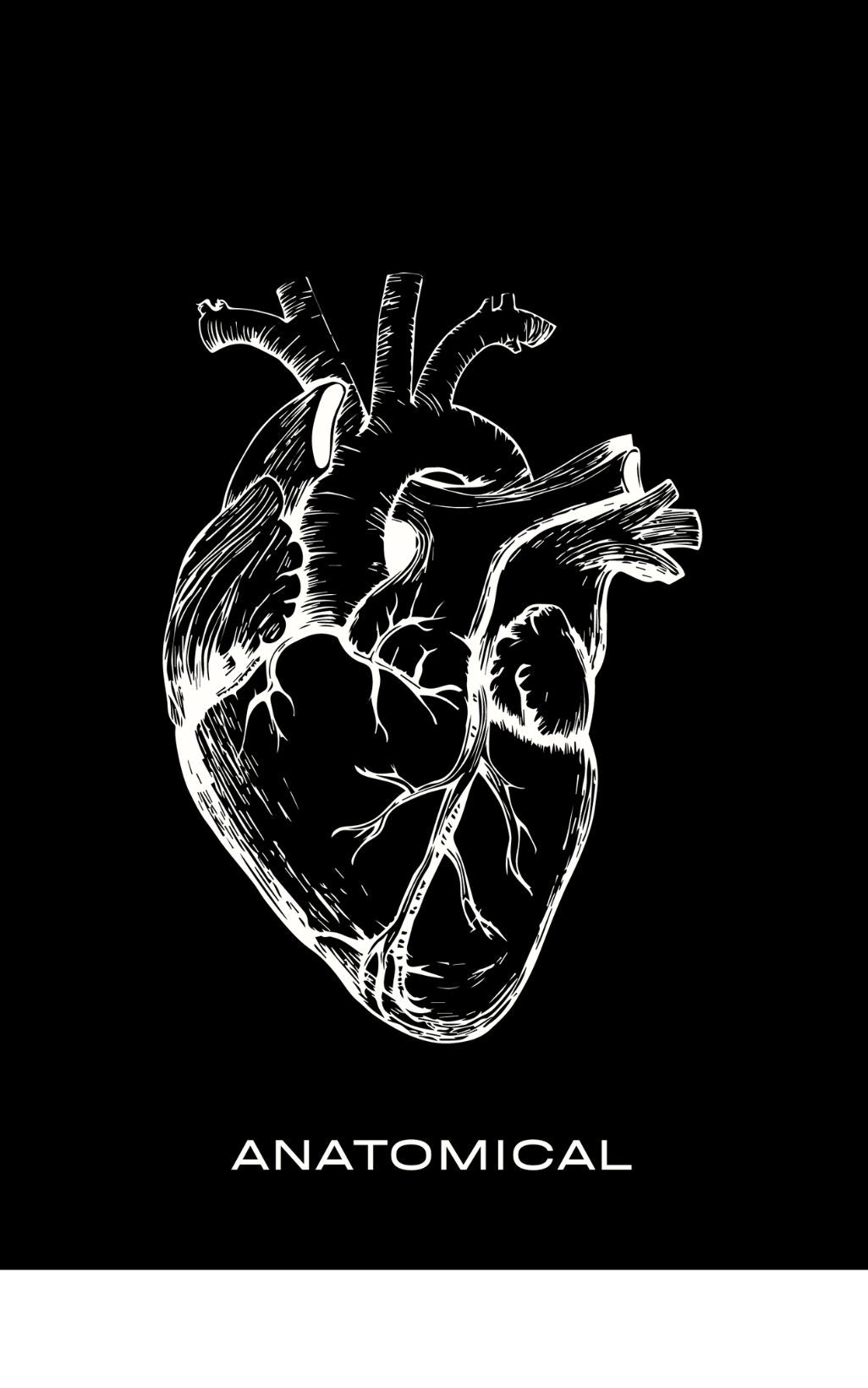 Your Heart - Anatomical