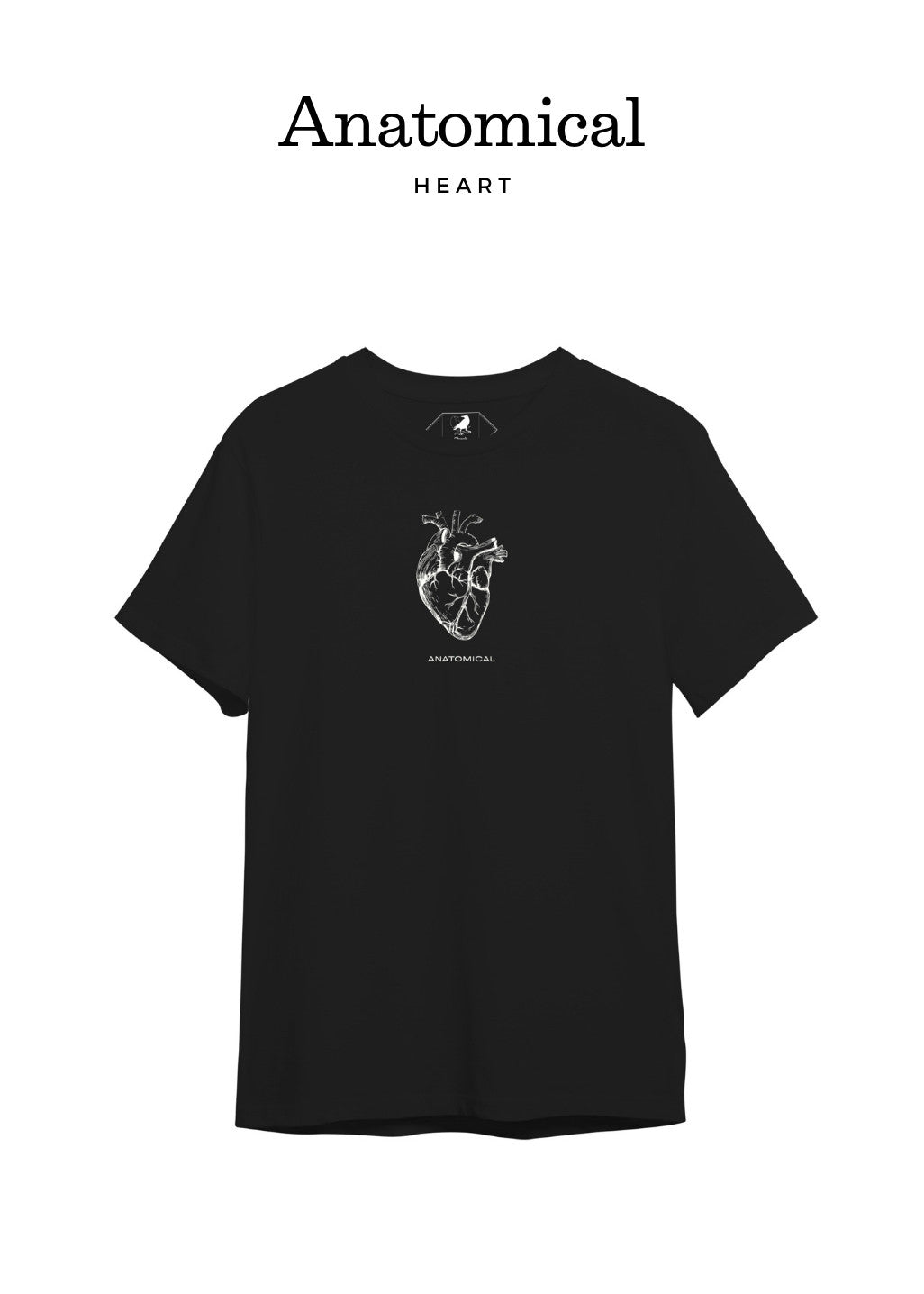 Your Heart - Anatomical