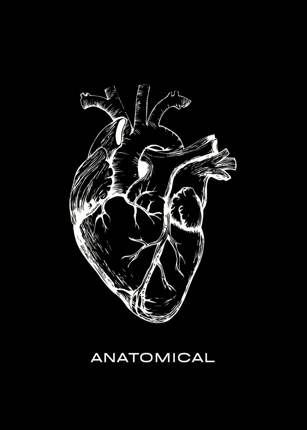 Your Heart - Anatomical