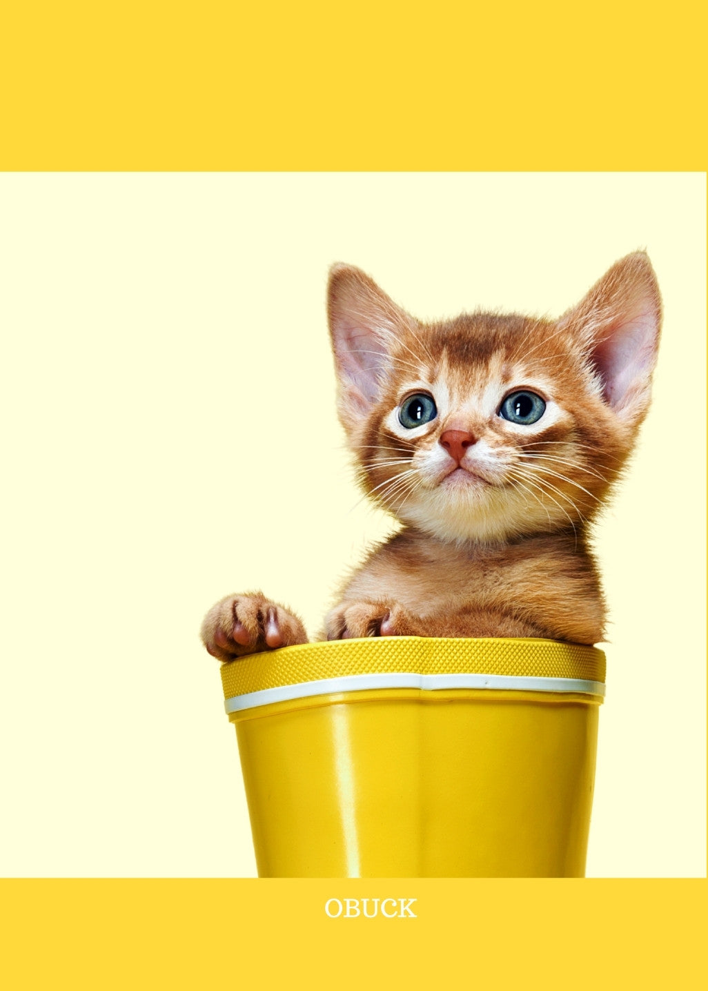 Feline Plants 貓科植物 - Original Series